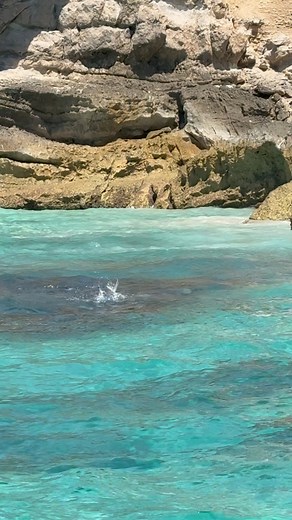 Arabian Fly Sport Fishing on Instagram: "Who’s ready for some of the most exciting permit fishing there is🔥 The 25/26 season is filling up fast. Don’t miss your chance to catch the last of the epic tides. Lock it in before it’s gone. #oman #salalah #flyfishing #arabianflysportfishing #permit #sightfishing #africanus"