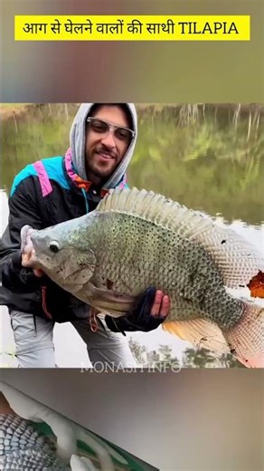 Tilapia Fish Skin Treatment in Hindi | जले हुए घाव जल्दी कैसे भरते हैं? | Monash info #shorts