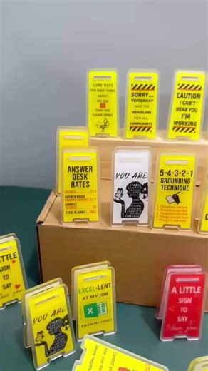 Funny Office Desk Signs Chaotic Cute Acrylic Signs for Cubicle Humor Work Jokes Desk Personality Essentials Relatable Mood Vibes Must Haves