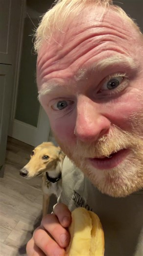 Delicious Chicken Burger Recipes for Dinner