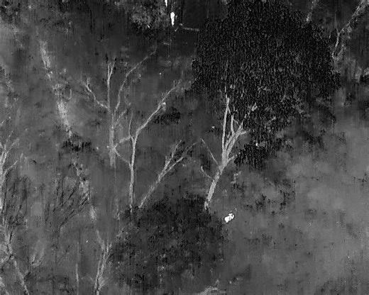 Landmark College on Reels