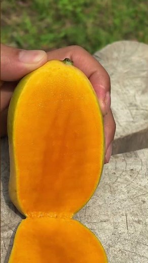 Mangga podang manis harum