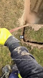 ⚠️ History Facts that will blow your mind..🧠 No one knew about the last one.. | Untold Facts