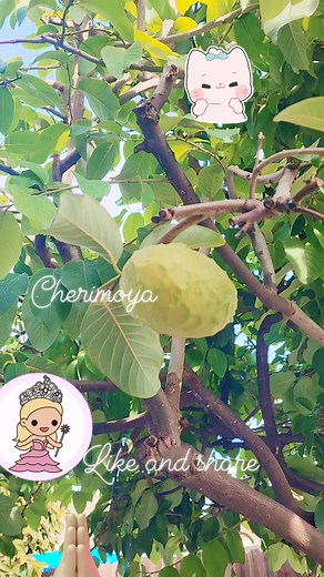 #@Bert'sbackyard | Virgie Liza Agustin