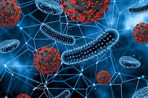 Struktur Bakteri, dari Bagian Terluar Hingga Terdalam dan Fungsinya - Bobo