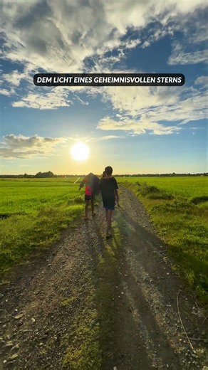 Camino de Santiago 🐚