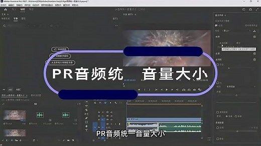 PR入门教程：pr音频如何统一音量大小？2种方法快速调整音量~