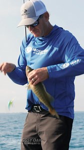 When one of the best to ever do it talks about deep cranking, you listen and get your notepad out! KVD continues to drop his years of knowledge for us in this On The Bow! | Mossy Oak Fishing