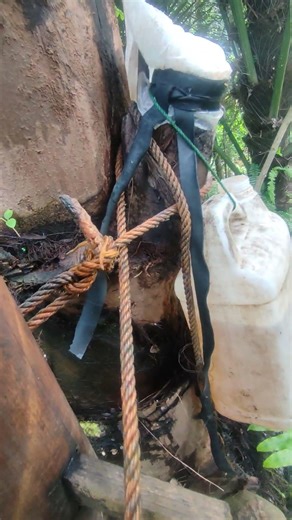 PEMANENAN NIRA AREN. ‪@kaboelchannel4720‬