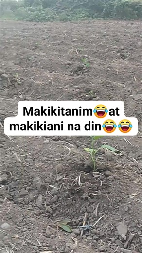 Rose Tagalog on Reels