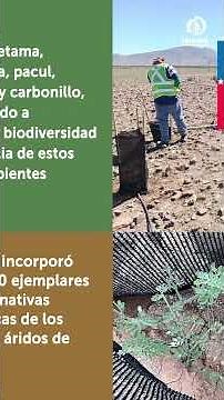 Día Mundial de la lucha contrala desertificacion y la sequía
