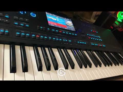 Medeli AKX10 German styles ( World )