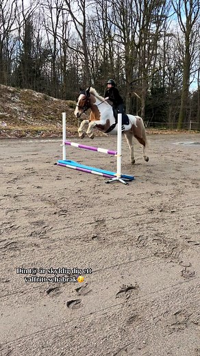 Billiga schabrak för hästar och roliga helgplaner!