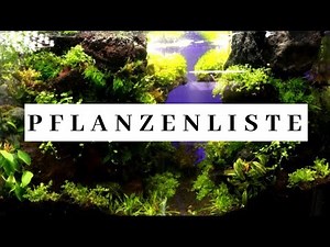 PFLANZENLISTE COMMUNITY AQUALUDARIUM (Unterwasserteil)