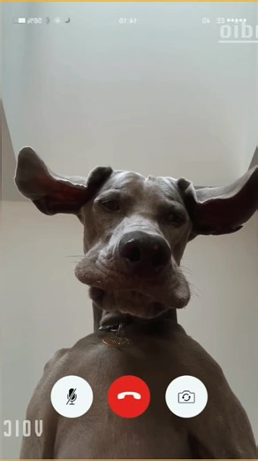 တိတ်တိတ်နေ ကြားလား - ဟာသလေးများနှင့်ရယ်ဖို့