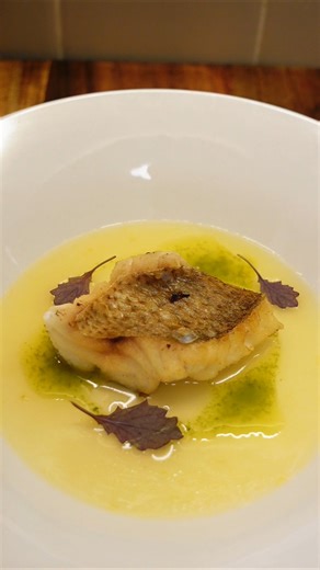 Let's ASMR this Snapper