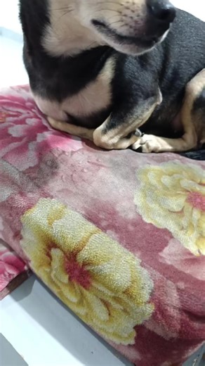 Alienígenas en TikTok: ¿Una nueva tendencia?