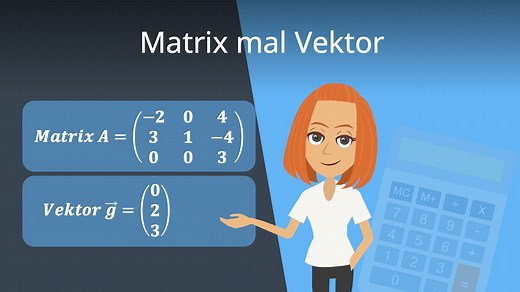 Matrix mal Vektor • Berechnung und Beispiele