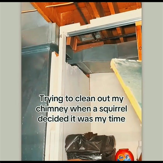 Some Amazing Feats Of | Mind warehouse