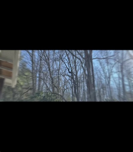 #treework #stumpremoval #stumpgrinding #grindprosolutions #treeremoval Don't get 'leafed' behind - check out this tree removal service! Safely removed a tree that was leaning precariously towards a house's porch, giving the homeowner peace of mind during the windy winter season.