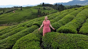 The tea economy of Jingdezhen in east China's Jiangxi has been a key part of the area's rural revitalization, creating better lives for residents by improving their incomes. Join Rachel at the Shiziyuan Tea Garden to learn more about the tea production process, and why tourists are flocking here now. #FieldsofHope #Jiangxi | China Plus Culture