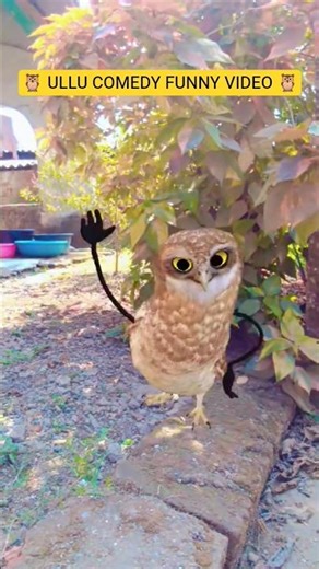 🦉 ULLU COMEDY FUNNY VIDEO 🦉#comedy #funny