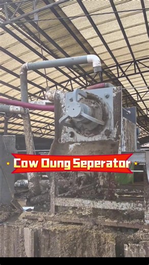 Manual Manure Handling for Premium Dairy Bedding