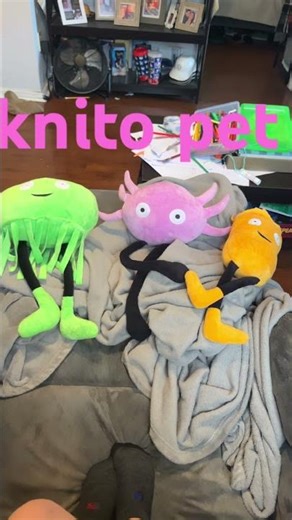￼knito pet