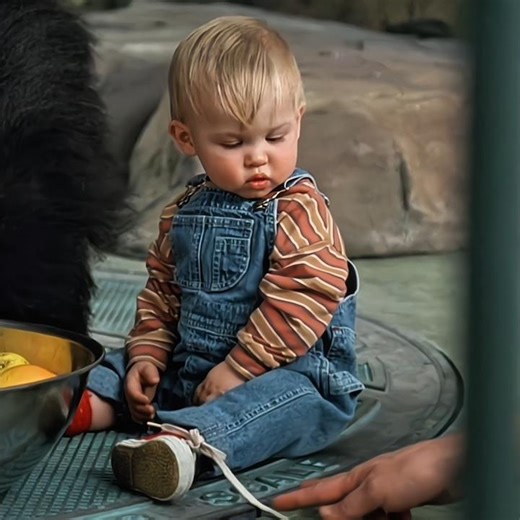 Baby's Day Out (1994) " Funny foment 🤣 #movie #movieedits #shoets