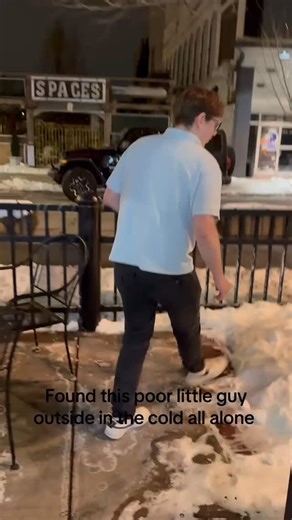 Our Copper Fire Super Bowl commercial … Team Blake Always. 🐈 🍺 | Copper Fire