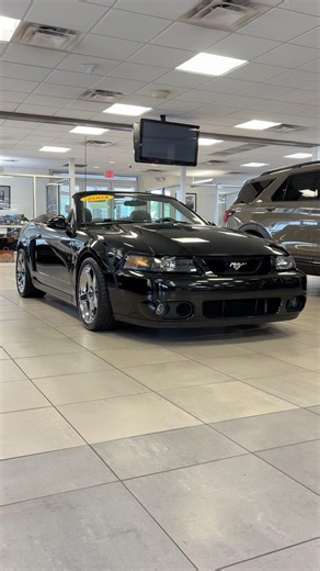 2004 Ford Mustang SVT Cobra