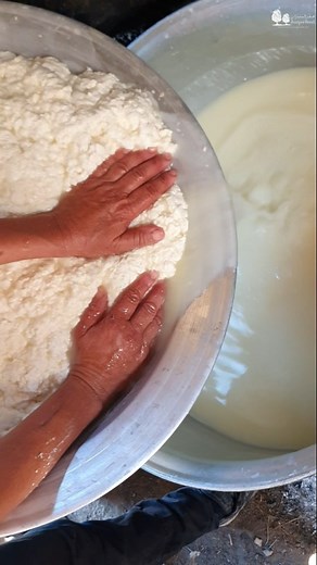 Shepherds of Lebanon, story of Lebanon's heritage, traditions, culture and myths! #juniperscents#storiesoflebanon#shepherdsoflebanon#traveler#culrure#traditions | Juniper Scent