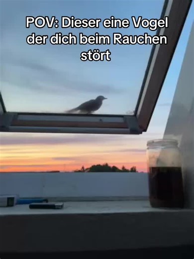 Der komische Vogel: Ein Meme-Moment beim Rauchen