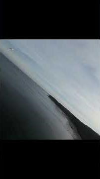 Albatross🦤leads🛸a Drone💫over🌄the🪼ocean🌊— Watch⏱️to the🦤End! (Slow Motion) 5