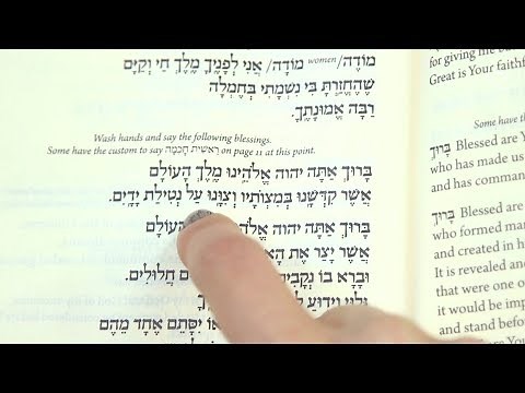 Hand Washing (Netilat Yadayim): How to Say This Jewish Prayer