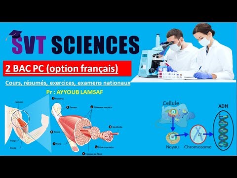 Cours SVT 2 BAC PC option français BIOF (الدروس لي غنقراو هاد العام)