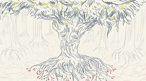 How Trees Talk to Each Other