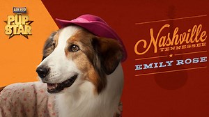 22K views · 128 reactions | It turned into one heck of a classic...