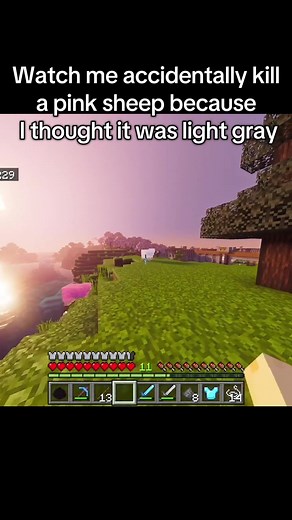 Accidentally Killing a Pink Sheep in Minecraft