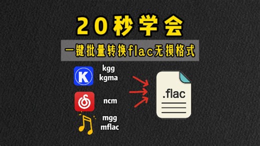 20秒学会，将各种音乐平台下载的音乐转成flac无损格式。