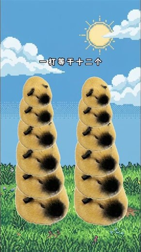 The Little Pig's Big Escape: A Lesson from Cat Owner & Master