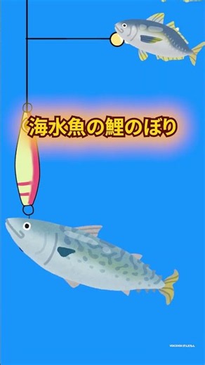 海水魚で鯉のぼり作ってみた結果 #ショアジギング #ジグサビキ #サビキ #ショアジギ #アジング #fmaxweb