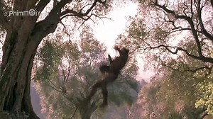 Virgin.Territory.2007