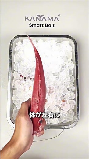 なぜ食いつく？ 🤔