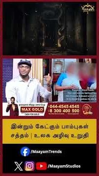 இன்றும் கேட்கும் பாம்புகள் சத்தம் | உலக அழிவு உறுதி