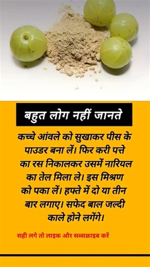 #motivation🥀💕👍💯 #jayakishoribhajan #quotes #shortsfeed