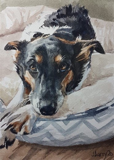 Hand-painted Watercolor Pet Portrait: Custom Pet Memorial - Etsy
