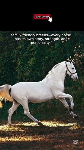 Types of Horses Explained|Horse Breeds You Didn’t Know Existed 🐎#breeders #breed #ranching #herding