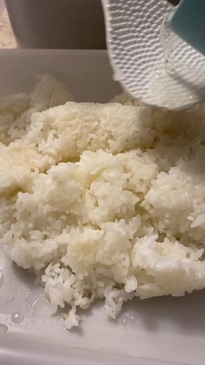 Como fazer um shari brilhante e com a liga perfeita | Receita de sushi em casa