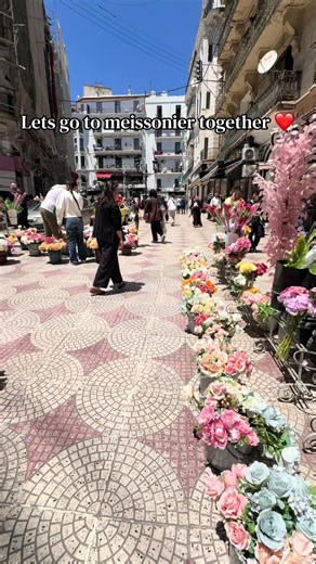 Meissonier Alger Centre: Explore With Us